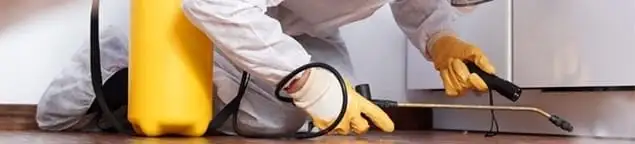 Roach exterminator treating cracks and crevices along kitchen baseboards in Oklahoma City, OK