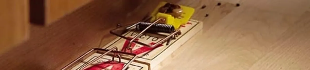 Rodent trap set indoors for rodent control and prevention in Oklahoma City, OK
