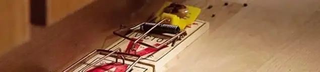 Rodent trap set indoors for rodent control and prevention in Oklahoma City, OK